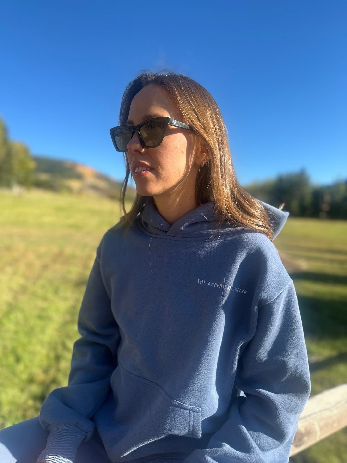 Ski Aspen Hoodie